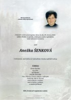 6Parte Šenková Anežka_Bílovec