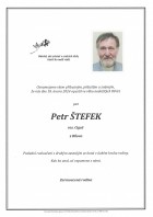 únor24_Parte Štefek Petr_Bílovec