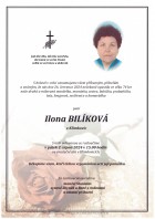 Parte Bilíková Ilona_Bílovec