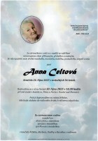 Parte Celtová Anna_Hradec nad Moravicí